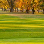 Golf Clubs