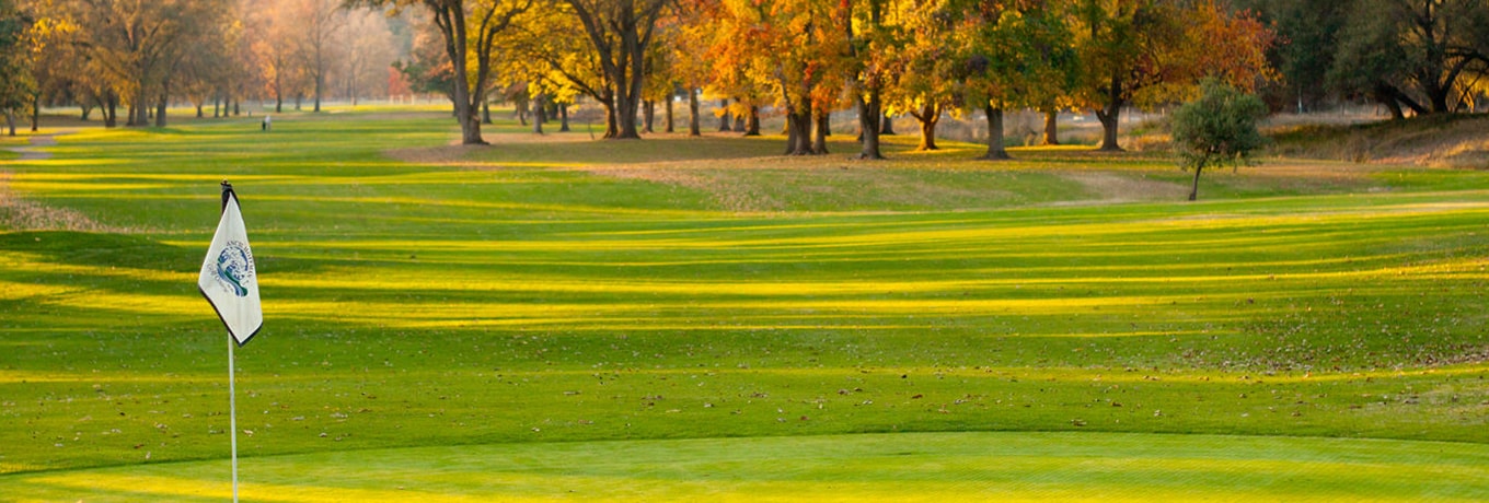 Golf Clubs
