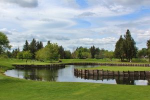 Golf Clubs